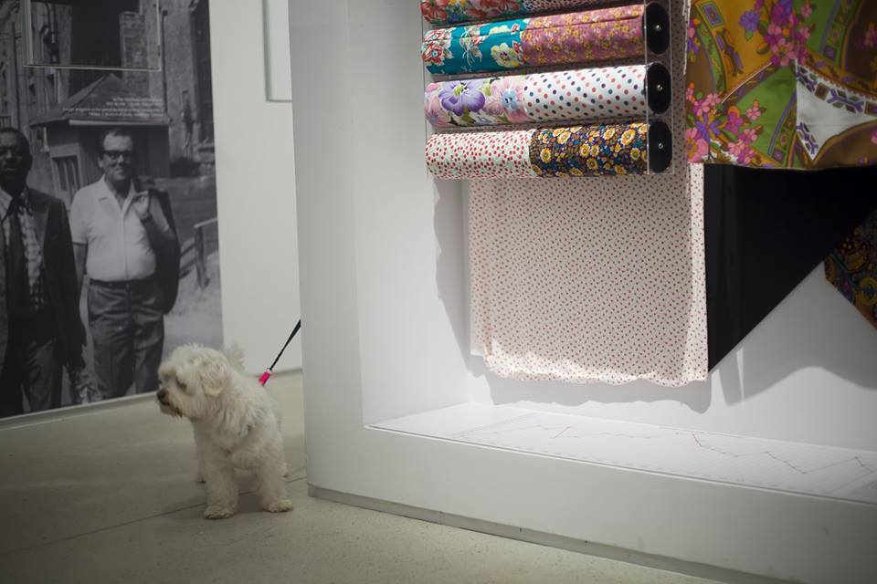 A Goldberger Textilipari Gyűjtemény kutyabarát!