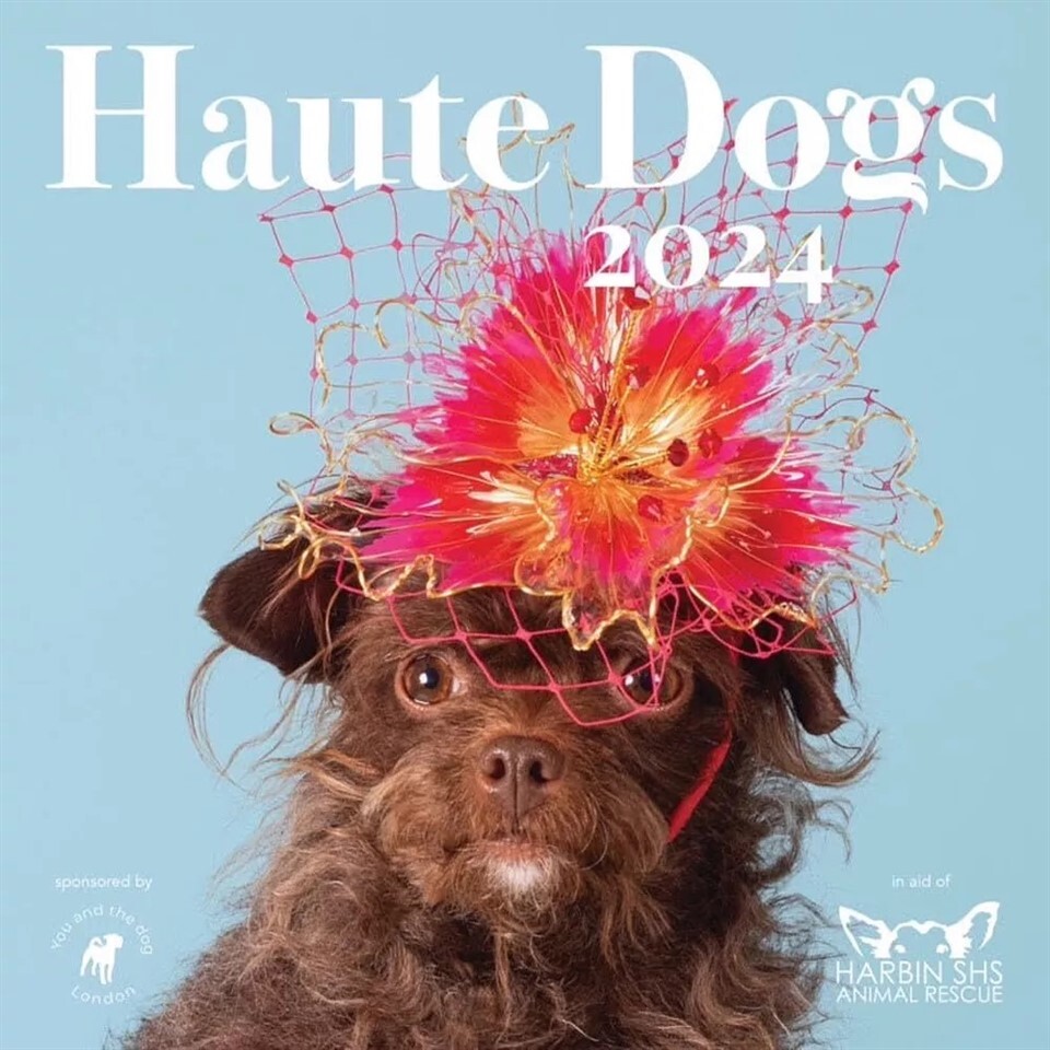 Haute Dogs naptár 2024 - Kutyák királyi kalapban