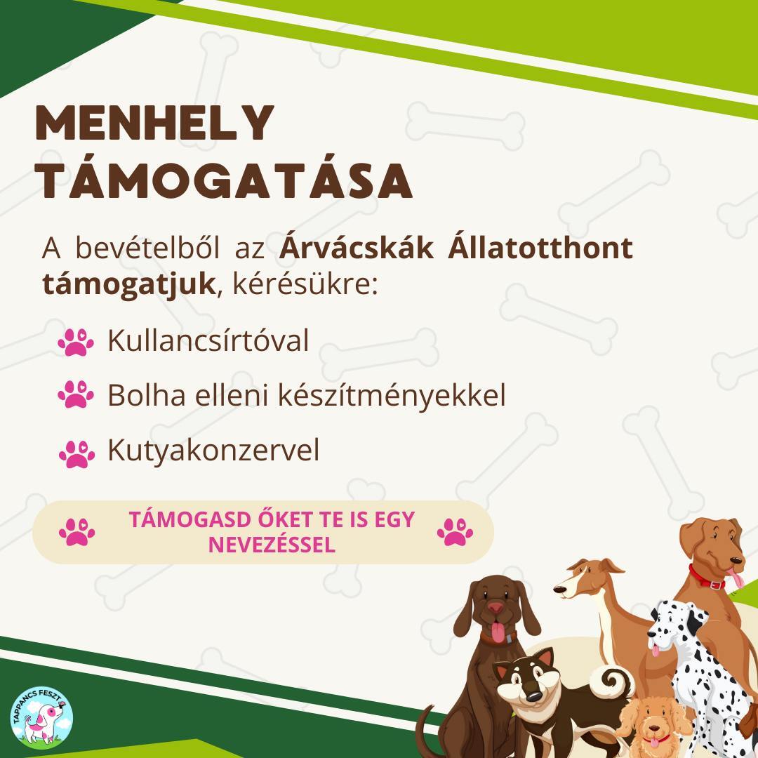 tappancsfeszt fotózás tappancsfeszt fotózás