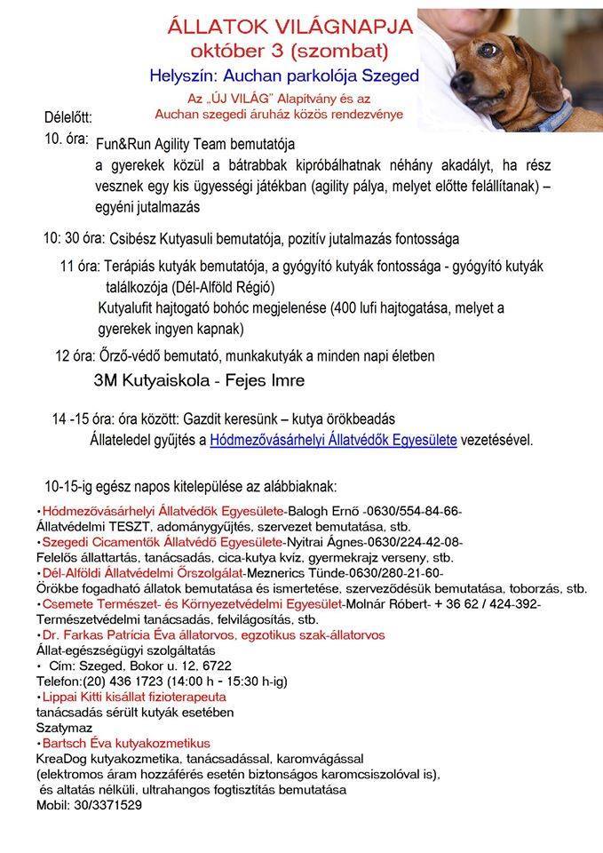Állatok Világnapja Szegeden