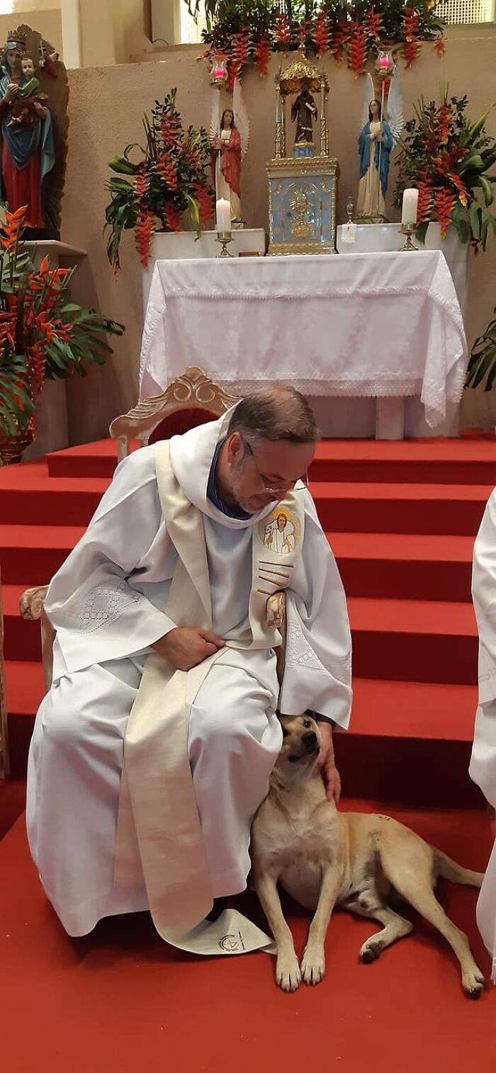Paulo atya minden kóbor kutyát szívesen lát