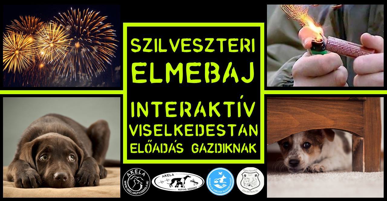 Szilveszteri elmebaj - Viselkedéstan előadás