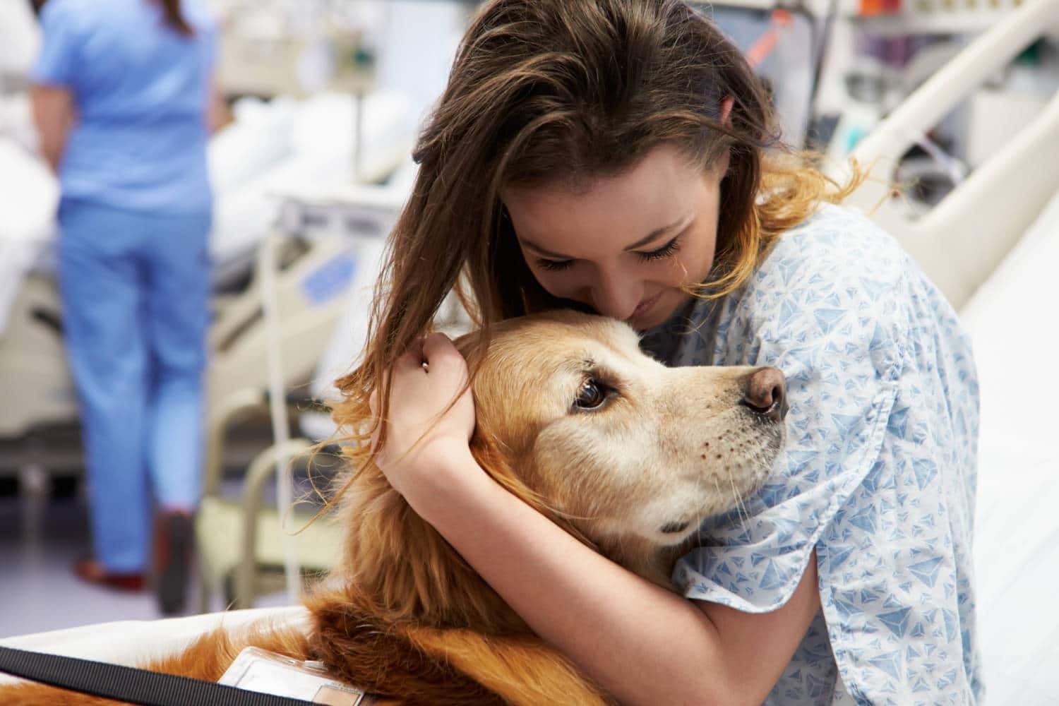 Terápiás kutya a kórházban - Megnyugtat a nehéz helyzetben