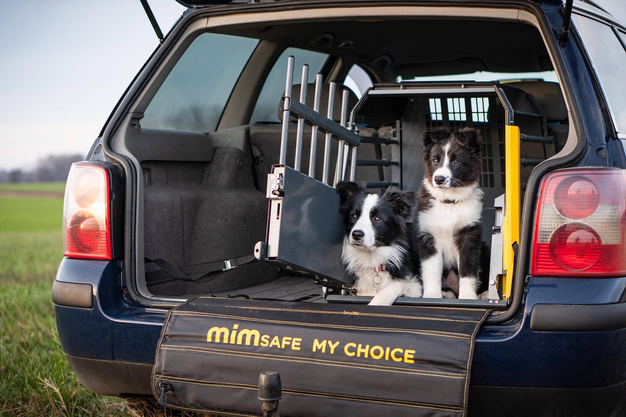 Utazás kutyával autóval - gondoskodnunk kell kutyánk biztonságáról is!