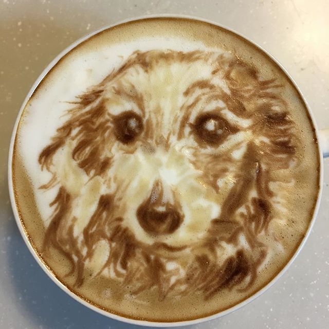 Kutyás festmény a kávén