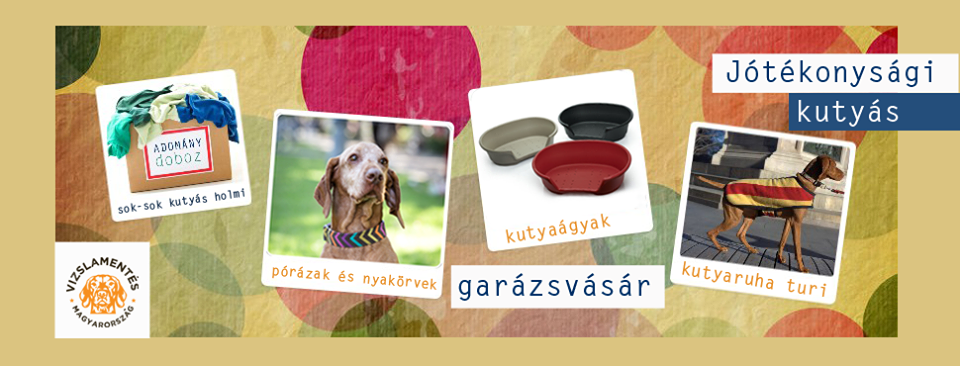 garázsvásár vizslamentés