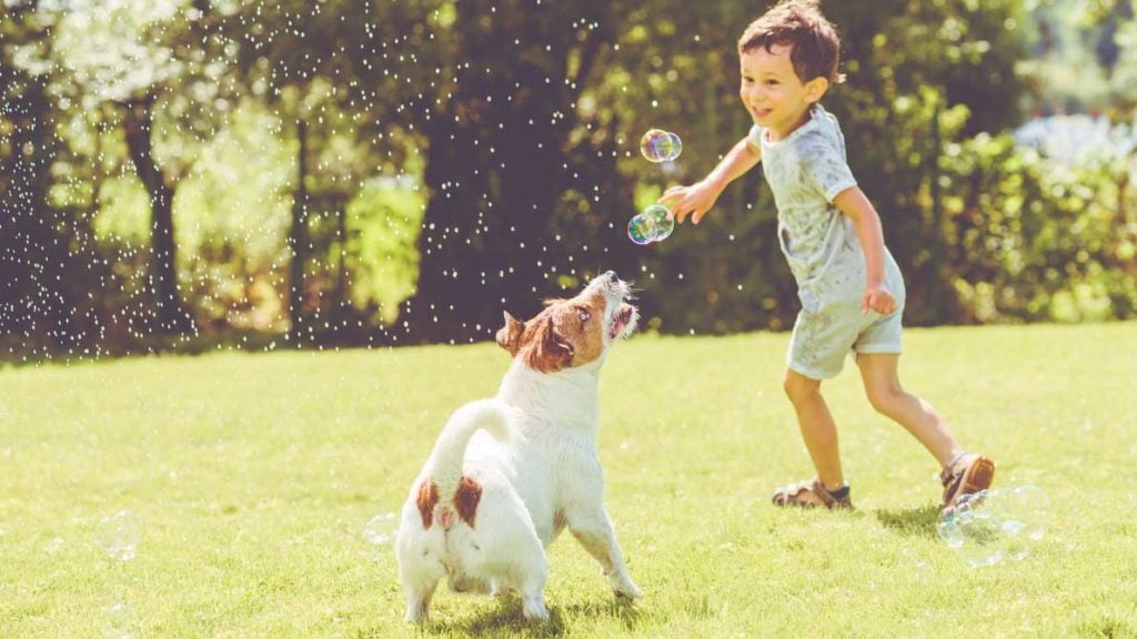 A közös játék is pozitív hatással bír a gyerekre és a kutyára egyaránt
