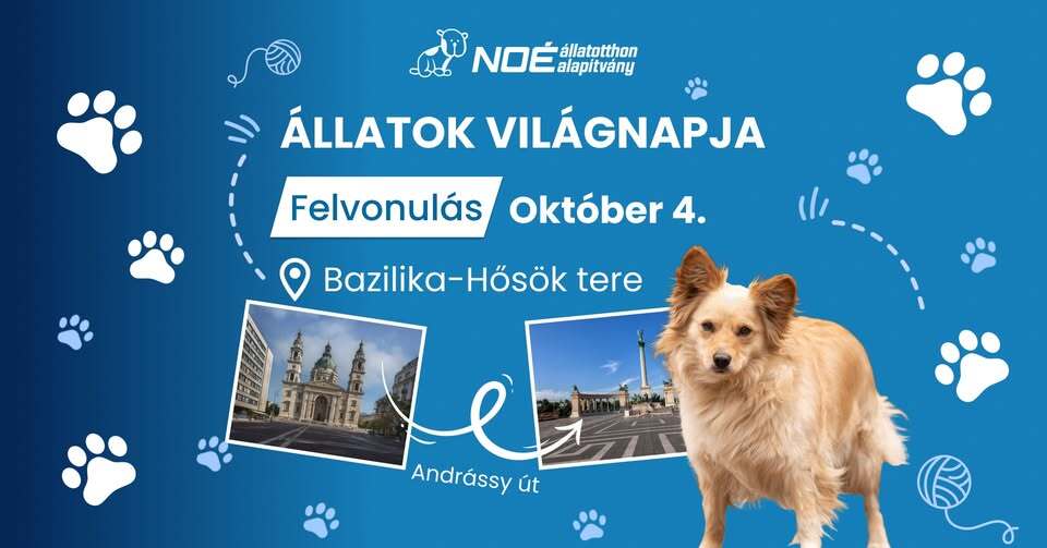 Állatok világnapja felvonulás 2025