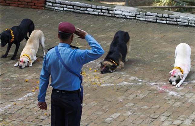 A rendőr tiszteletét, és megbecsülését fejezi ki kutyáiknak, társaiknak