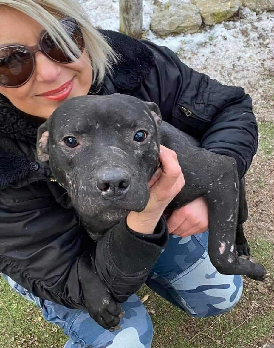 Vidra Betty egy örökbefogadható kutyával Vidra Betty egy örökbefogadható kutyával
