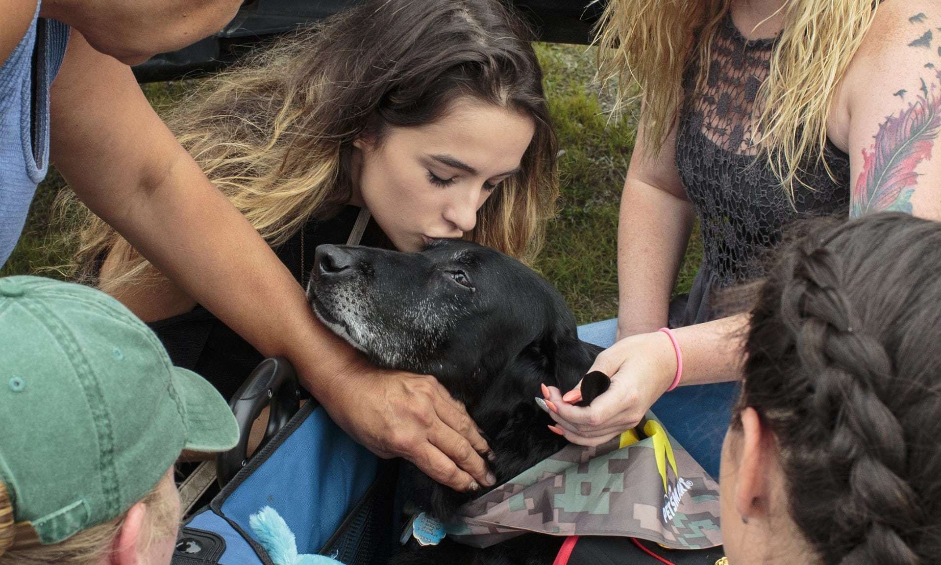 nő kutyával kereső ember szíve kinox