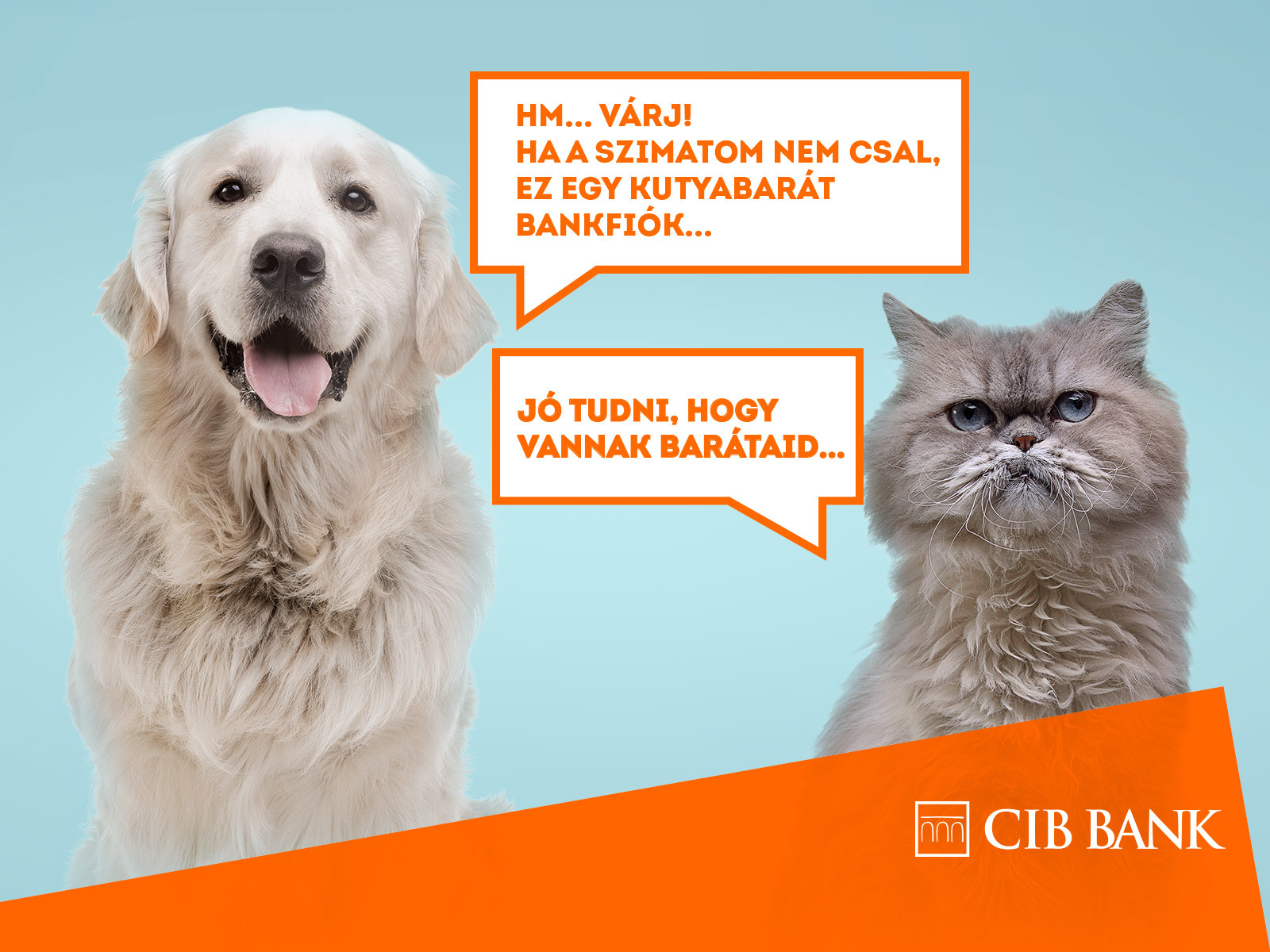 Kutyabarát CIB Bank fiók 