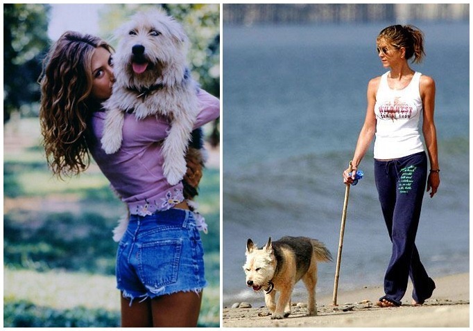 Jennifer Aniston és hűséges kutyája, Norman hosszú éveket töltöttek együtt