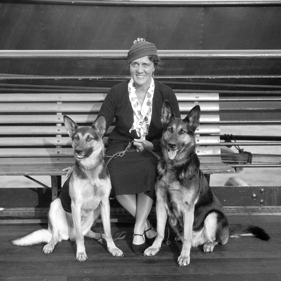 Dorothy Harrison Eustis két német juhászkutyával