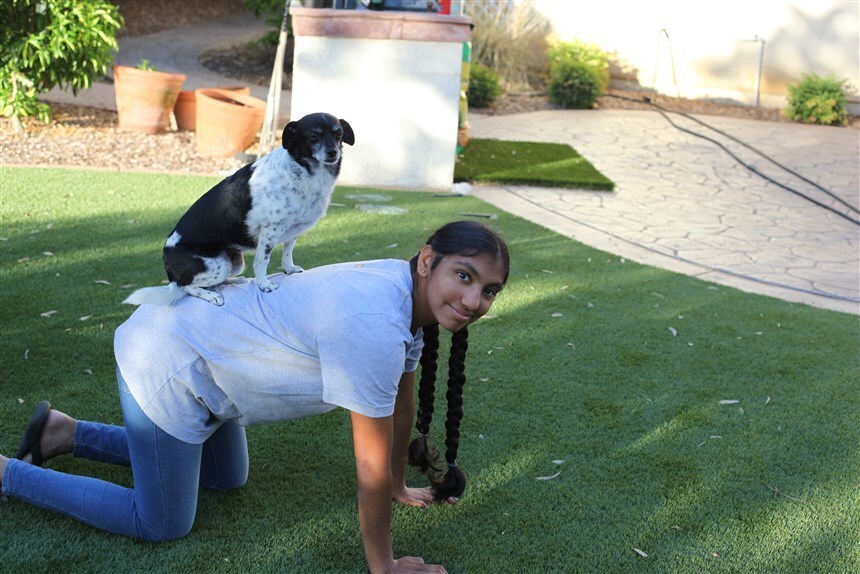 Meena és Bambie - A fiatal lány trükköket is megtanított kutyájának