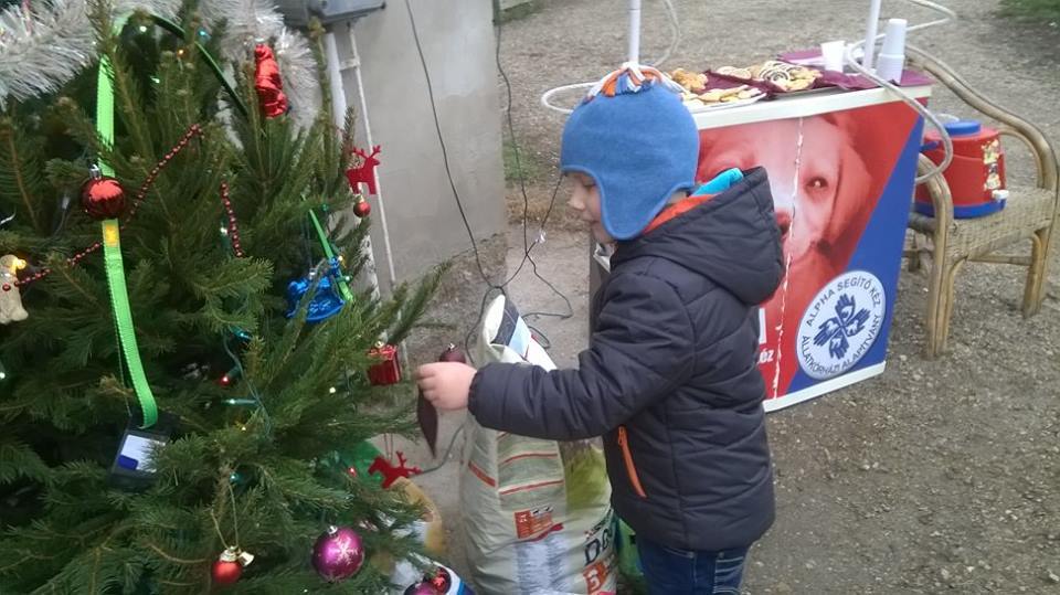 A kicsik is szorgosan díszítették az ASKArácsony 2015 karácsonyfáját