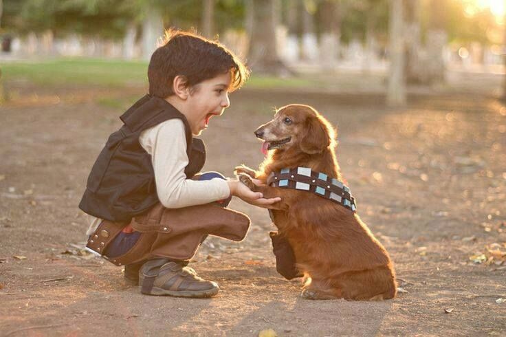 Az ifjú Han Solo és Csubakka