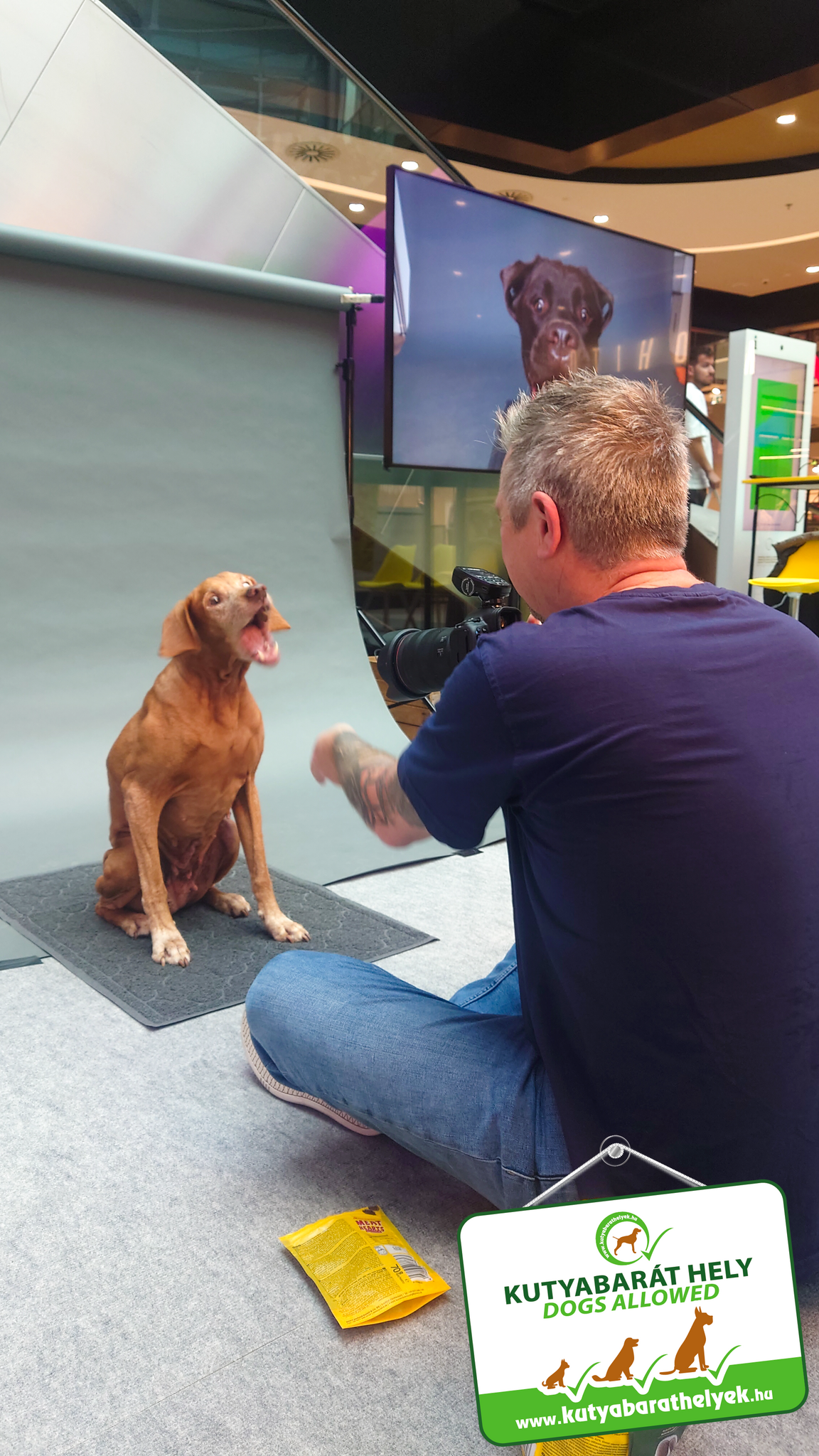 Vieler fotózás az Etele plázában