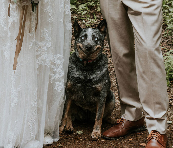 Luna kutyus az esküvői fotón - Nagy mosolyt kérek