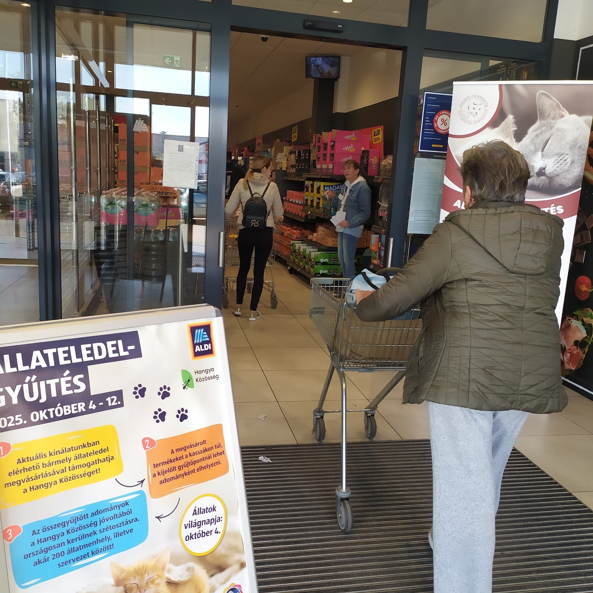 Hangya kösség élelemgyűjtés az ALDI bejáratánál