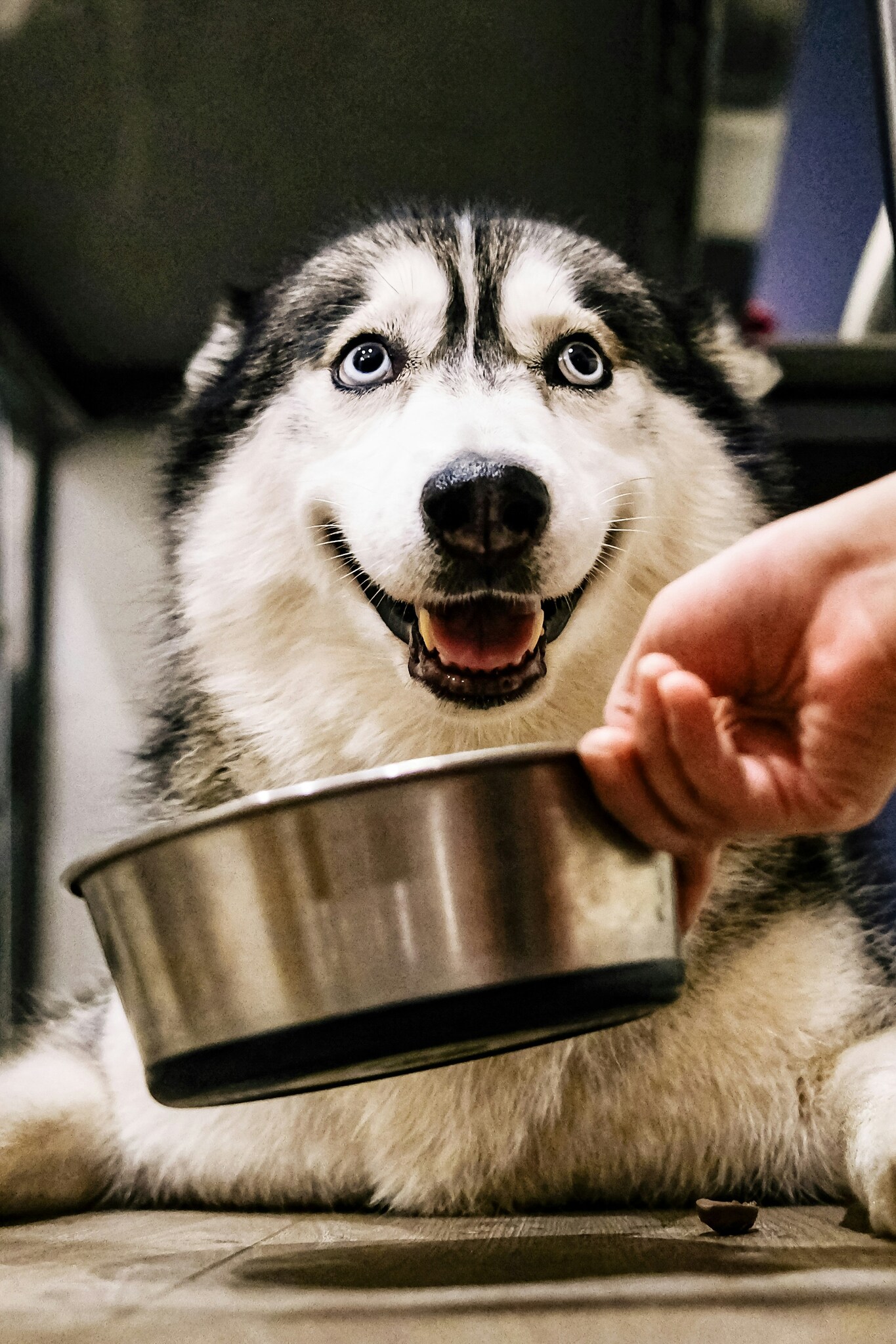 hús hús