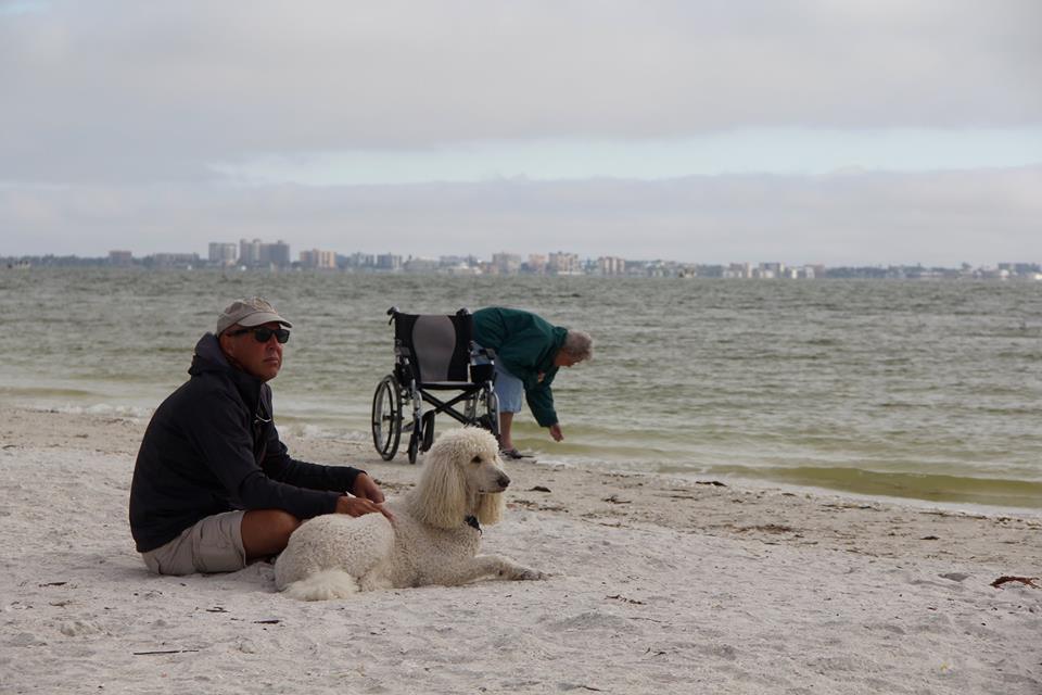 Kagylószedés a tengerparton (Sanibel Island, Florida)