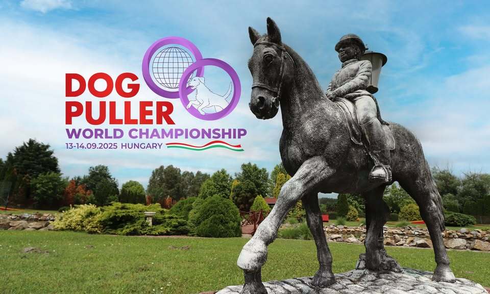 Dog Puller Világbajnokság