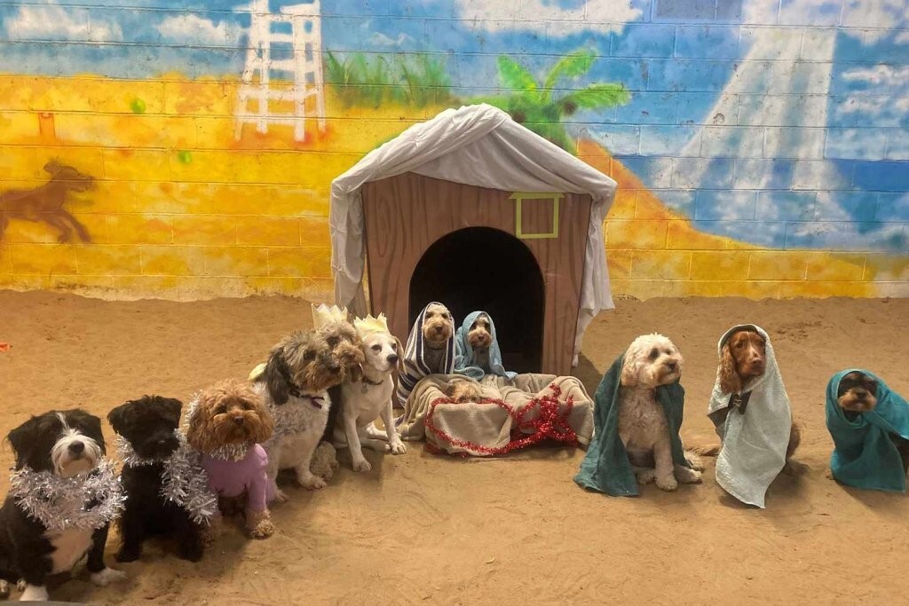 Betlehem jelmezes kutyákkal