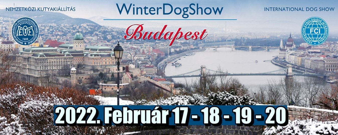 WinterDogShow Budapest 2022