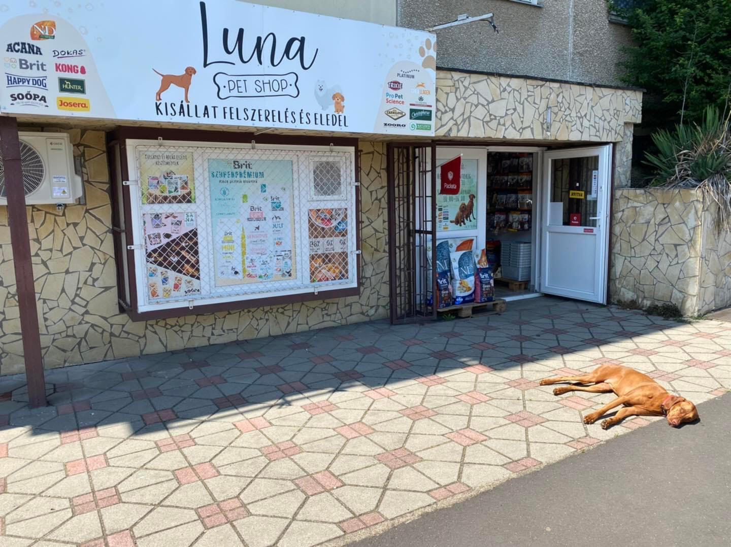 Kutyabarát Luna Pet Shop 2.0 - Luna