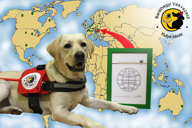 A világ 100 legjobb vakvezető kutya iskolája közé került a Baráthegyi Vakvezető Kutya Iskola!
