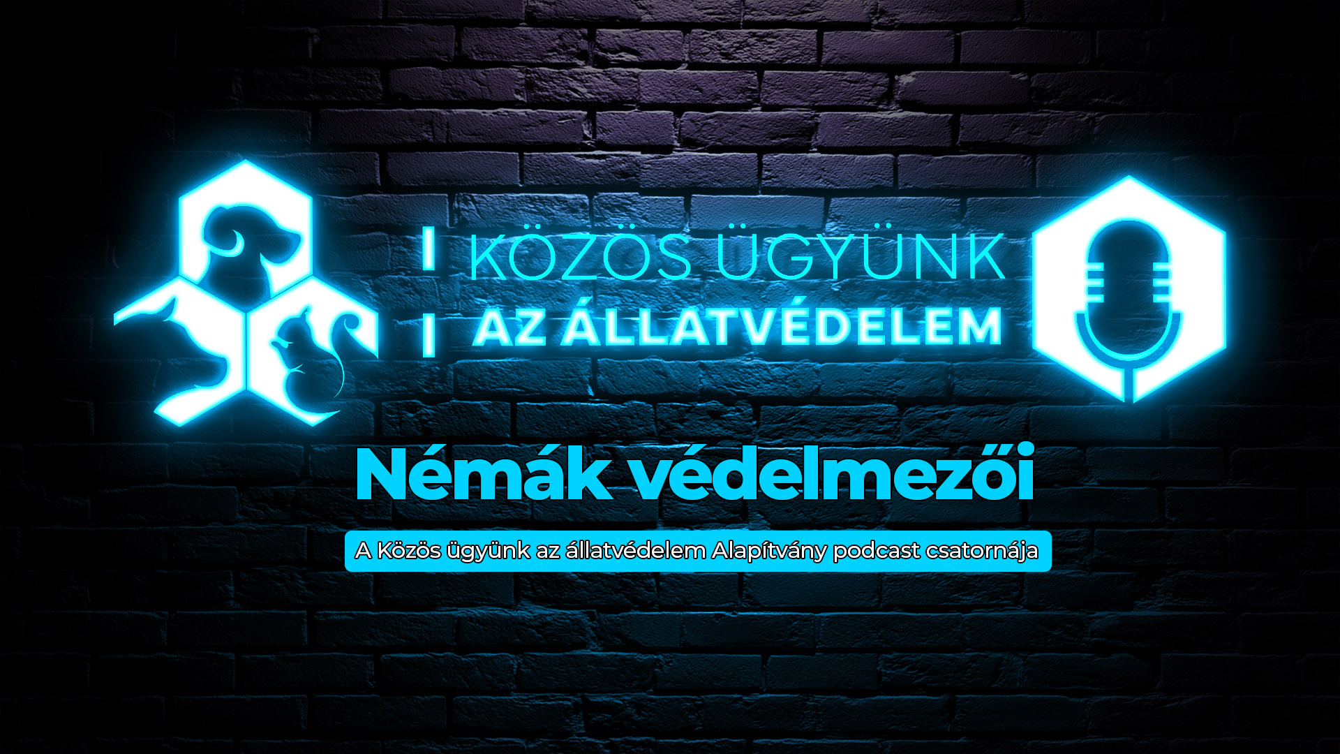 Némák Védelmezői podcast