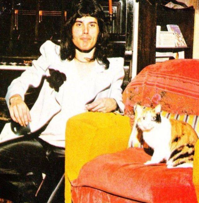 Freddie Mercury egyik cicájával Freddie Mercury egyik cicájával