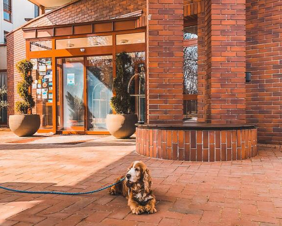 Kutyabarát Dráva Hotel Thermal Resort Harkányban Kutyabarát Dráva Hotel Thermal Resort Harkányban