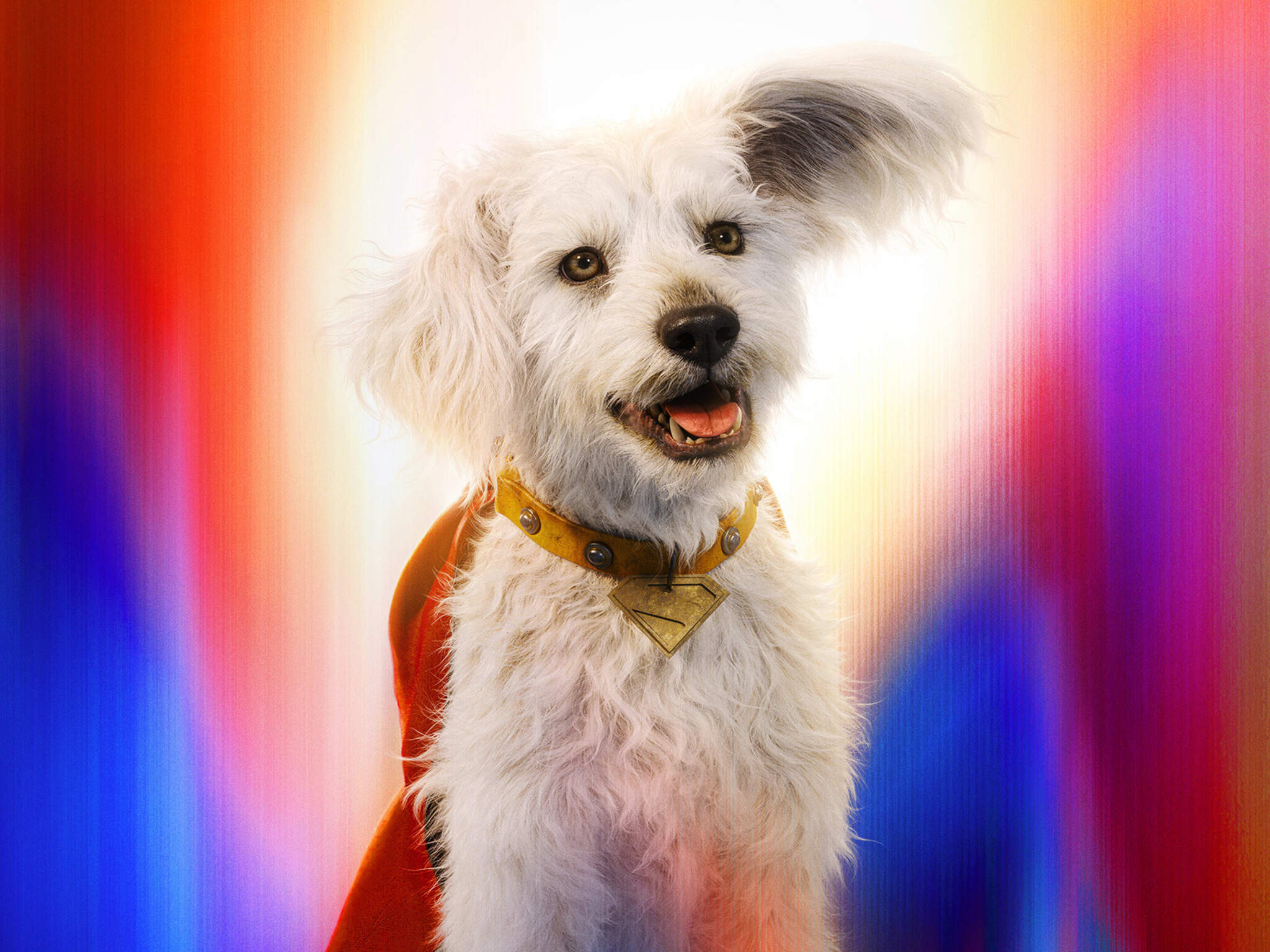 James Gunn Supermanjének kutyája, Krypto
