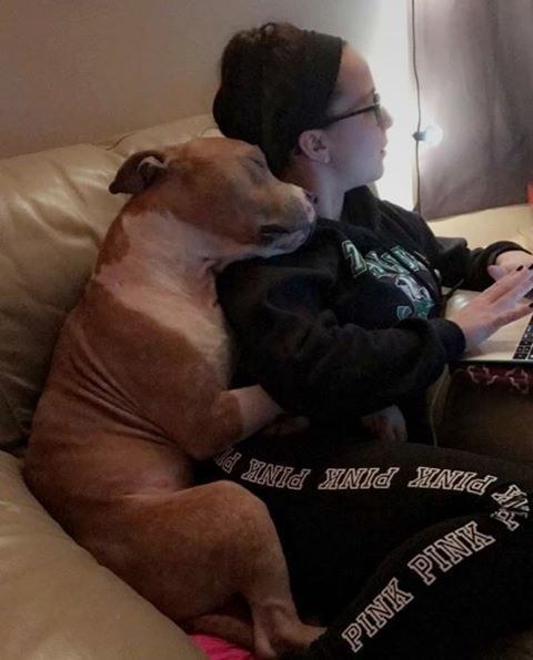 Az ölelő pitbullról készült fotók bejárták az internetet