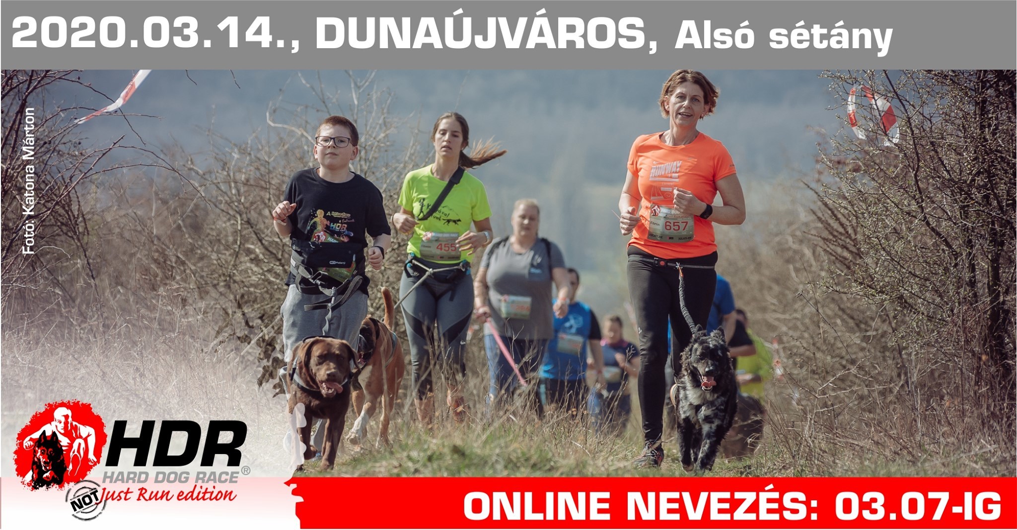 Hard Dog Race - Not Just Run (Felnőtt-Csapat-Junior)