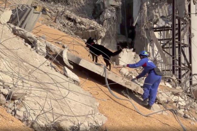 Romkutató kutyák is segítik a mentőcsapatok munkáját Bejrútban