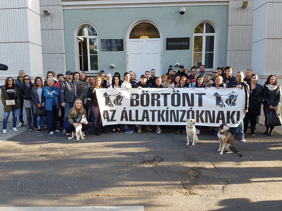 A Szurkolók az állatkínzás ellen csapatának hívására sokan a helyszínen tüntettek
