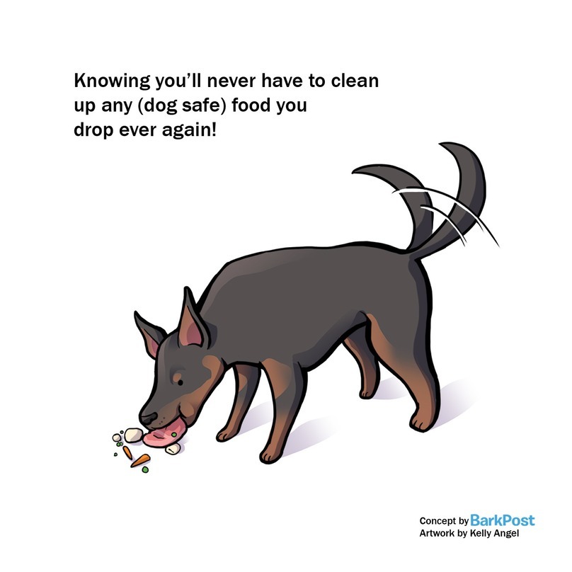 A kutyák szívesen besegítenek a takarításba is