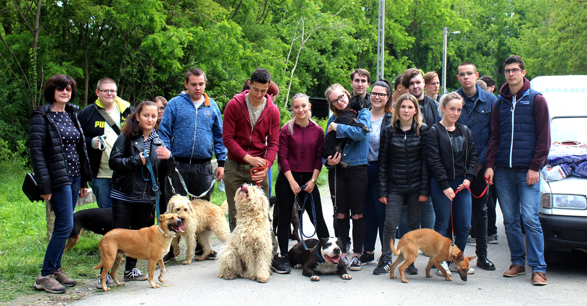 A zalaegerszegi osztály a menhelyen töltötte osztálykirándulását - a kirándulásra szánt pénzzel a menhelyi kutyákat támogatták