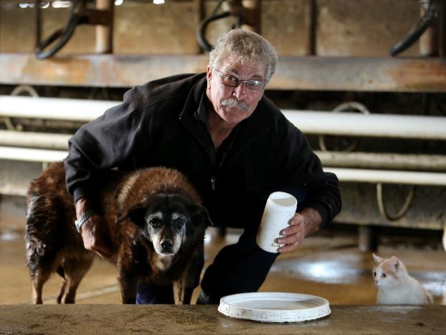 Maggie, a 30 éves kutya, és gazdája, Brian Mclaren
