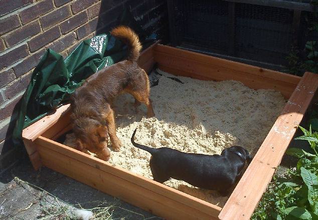 Kisebb-nagyobb ásóhelyet lehet készíteni a kutyák számára, így könnyen megelőzhető a baleset