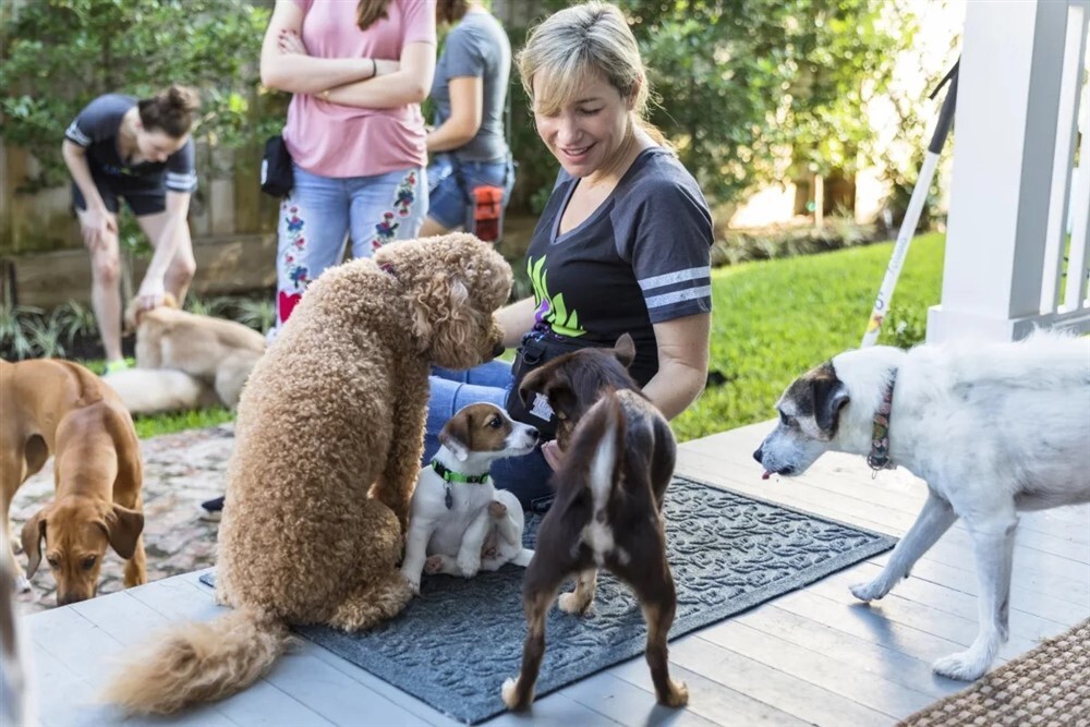 A kutyafuttatók és zöldterületek látogatása, a közös séták más gazdikkal és kutyákkal is javíthatják társas kapcsolatainkat