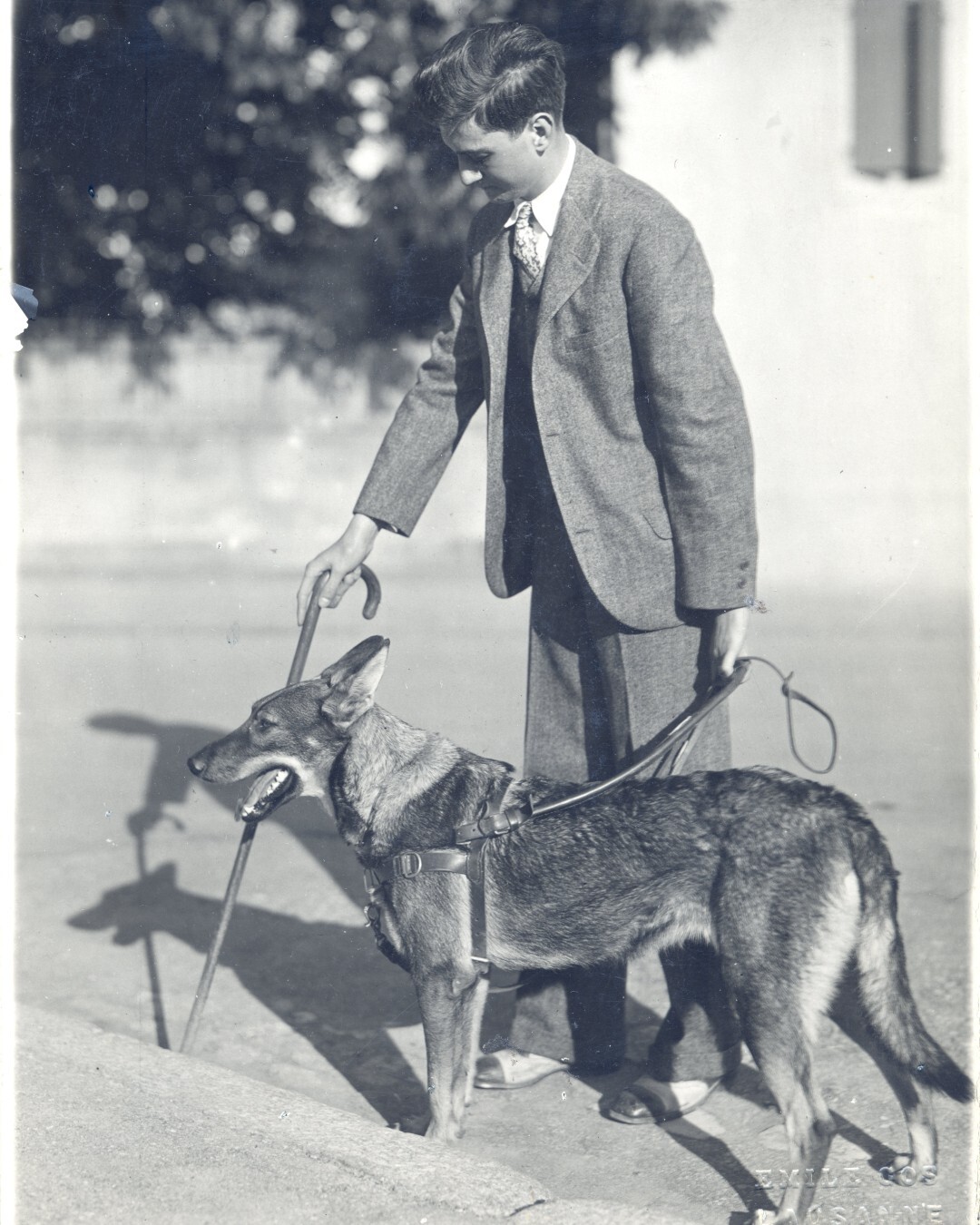 Morris Frank Morris Frank