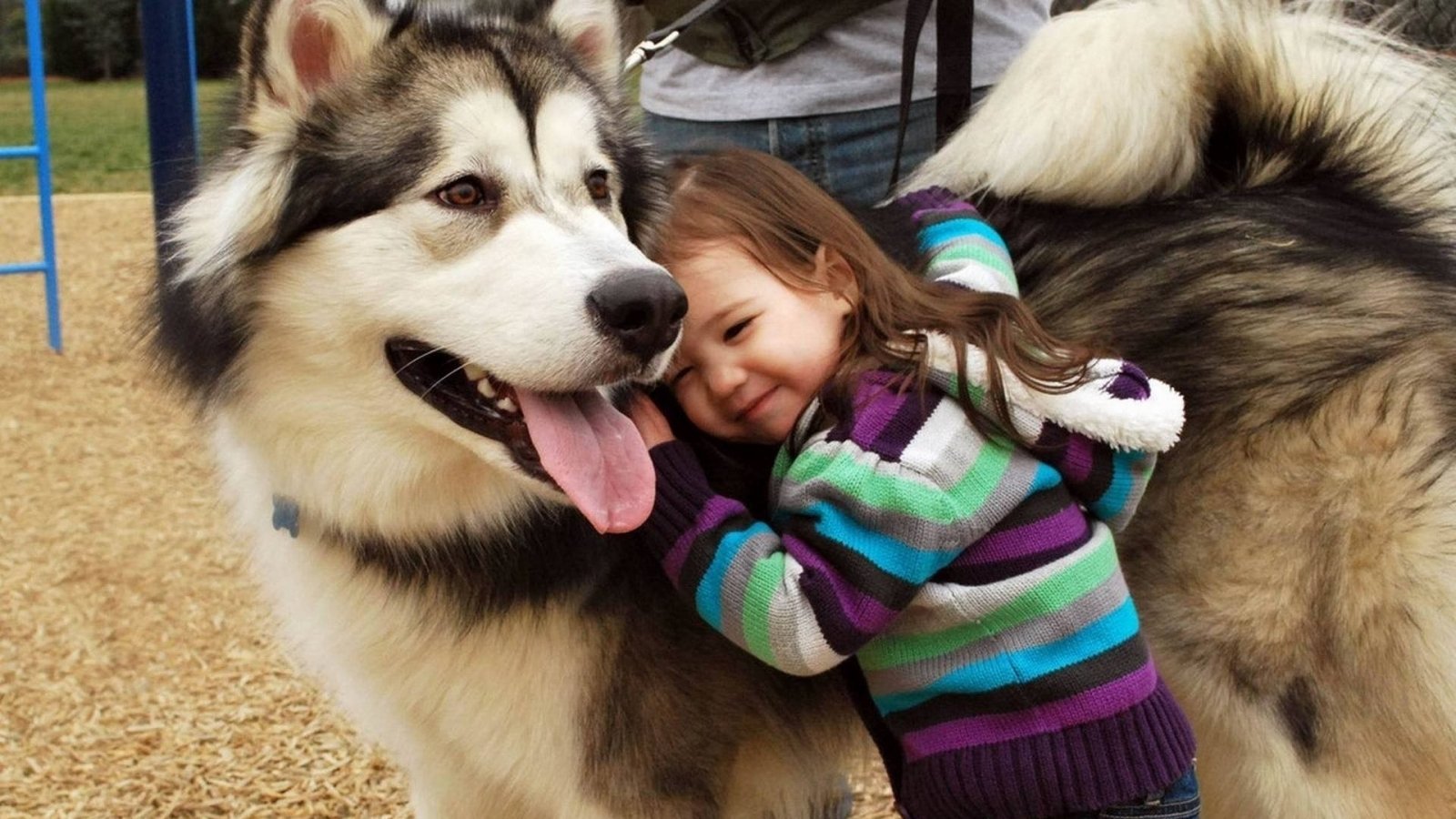 Egy szeretetteljes ölelés - csak akkor engedjük meg a gyereknek, ha jól ismerjük a kutyát!