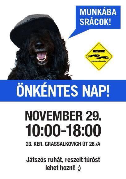 önkéntesnap