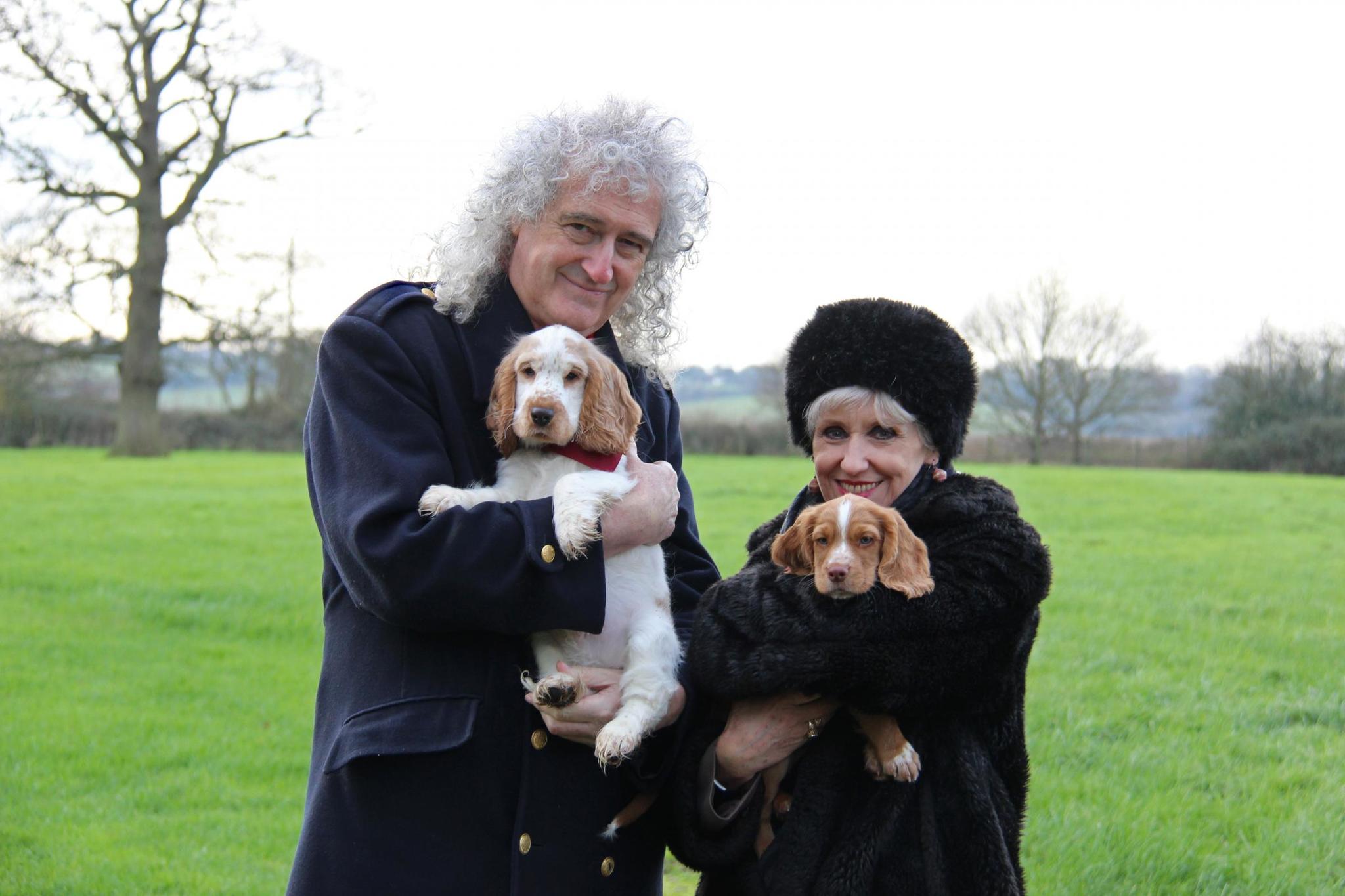 Brian May és felesége, Anita Dobson a spániel kölykökkel