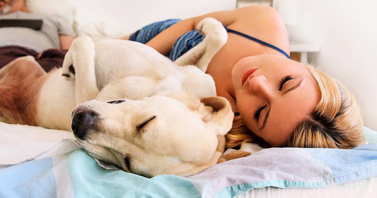 Alvás kutyával - tényleg egészséges?