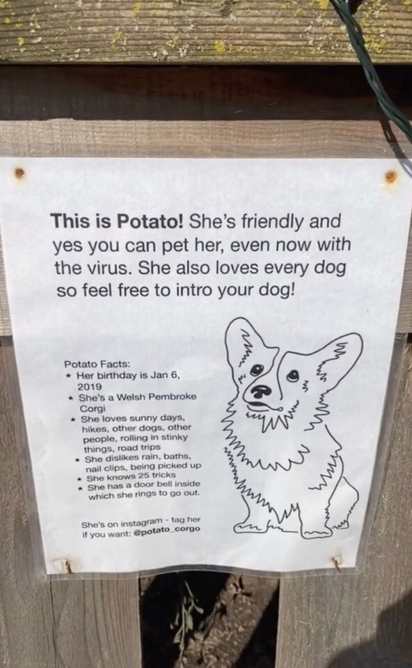 Krumpli kutya táblája